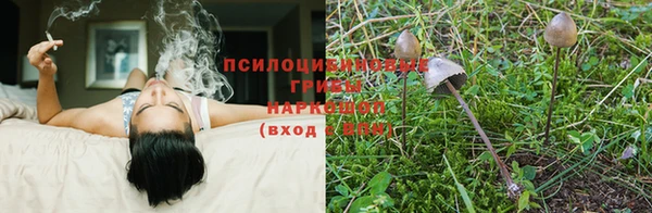 индика Приозерск