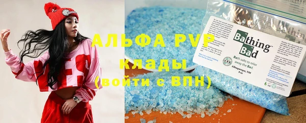 ПСИЛОЦИБИНОВЫЕ ГРИБЫ Абаза