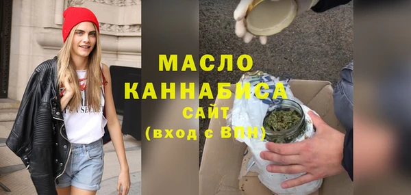 индика Приозерск