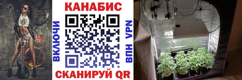 Конопля Bruce Banner  Верхоянск 